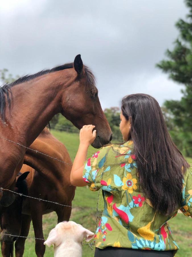 Pousada Recanto Aguas Vivas Turvo dos Gois Eksteriør billede