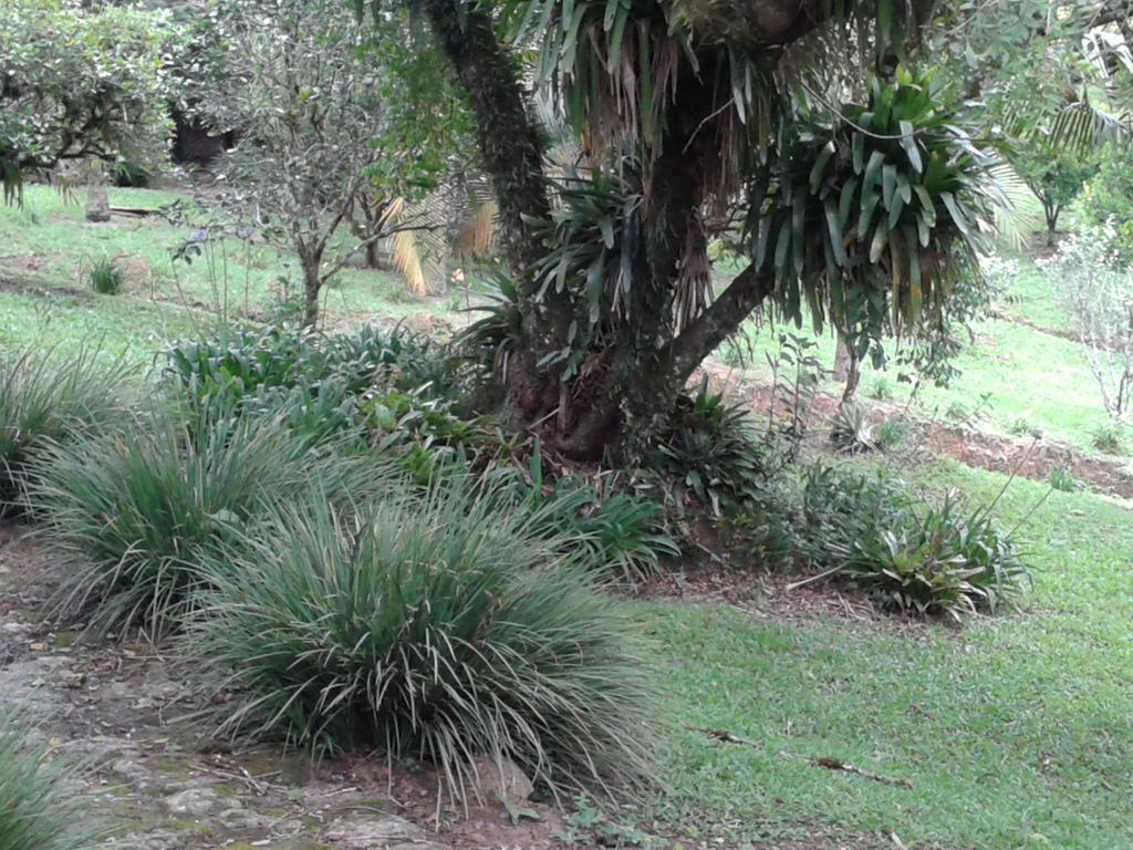 Pousada Recanto Aguas Vivas Turvo dos Gois Eksteriør billede